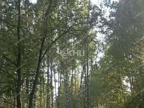 derevnya-dosadino-vadskiy-municipalnyy-okrug фото