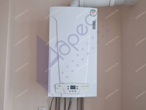 1-komnatnaya-gorod-bor-gorodskoy-okrug-bor фото