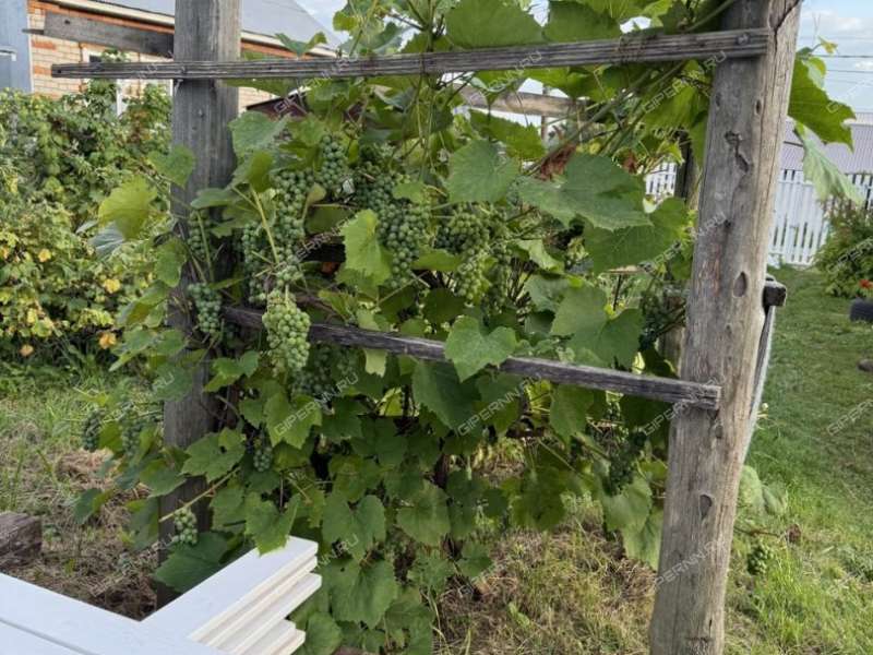 дом на улице Мира деревня Анкудиновка