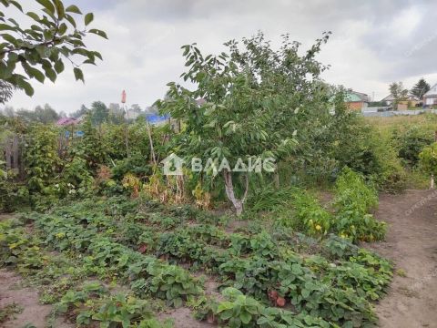 dom-selo-vyazovka-kstovskiy-rayon фото