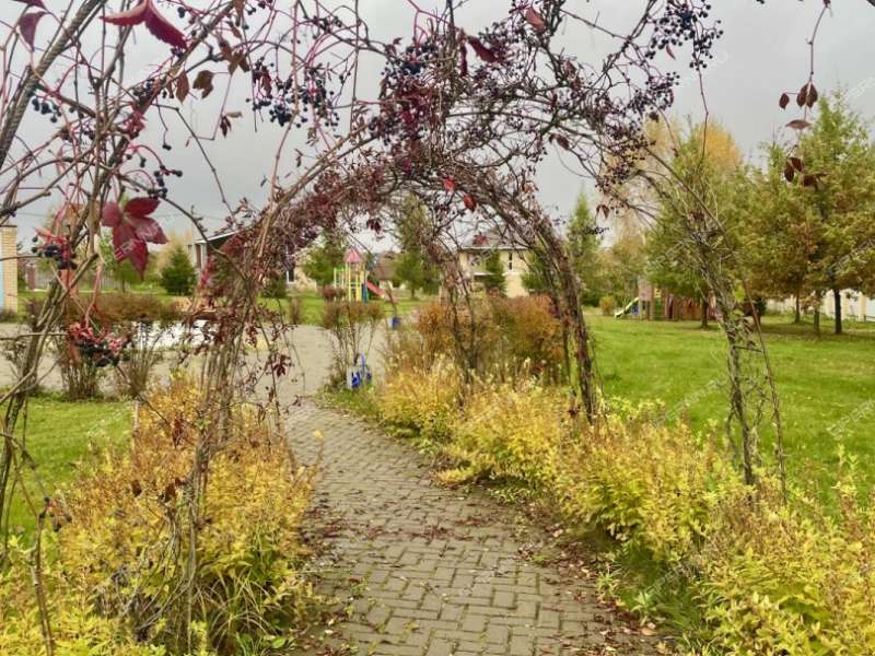 дом на Ахматовой ул. село Каменки