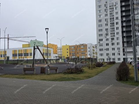 3-komnatnaya-derevnya-ankudinovka-kstovskiy-rayon фото