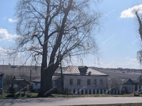dom-selo-bolshoe-kazarinovo-bolsheboldinskiy-rayon фото