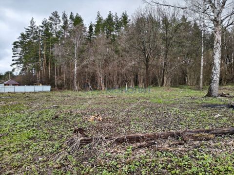 snt-stroitel-bogorodskiy-municipalnyy-okrug фото