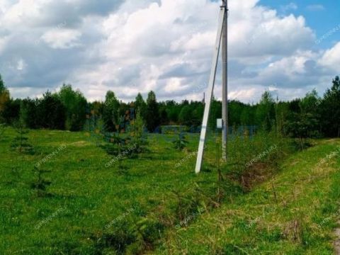derevnya-kiselevo-gorodskoy-okrug-chkalovsk фото
