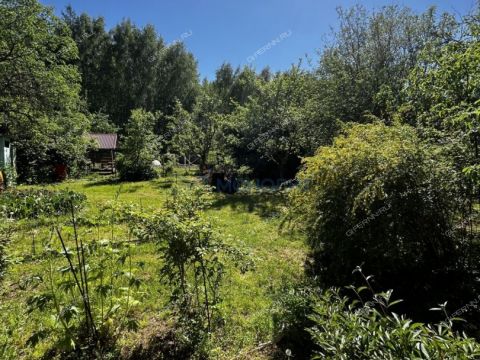dacha-derevnya-strahovo-gorodskoy-okrug-bor фото